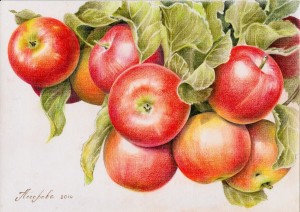 more-apples